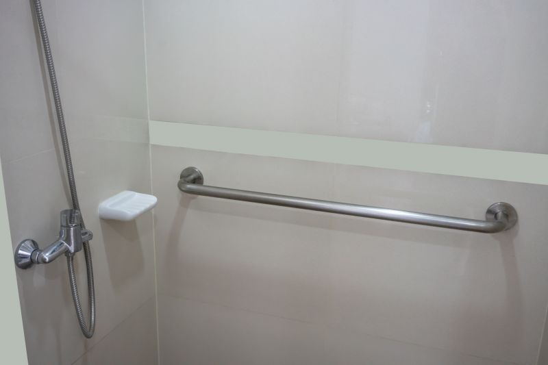 Products For Shower Grab Bar Placements in use